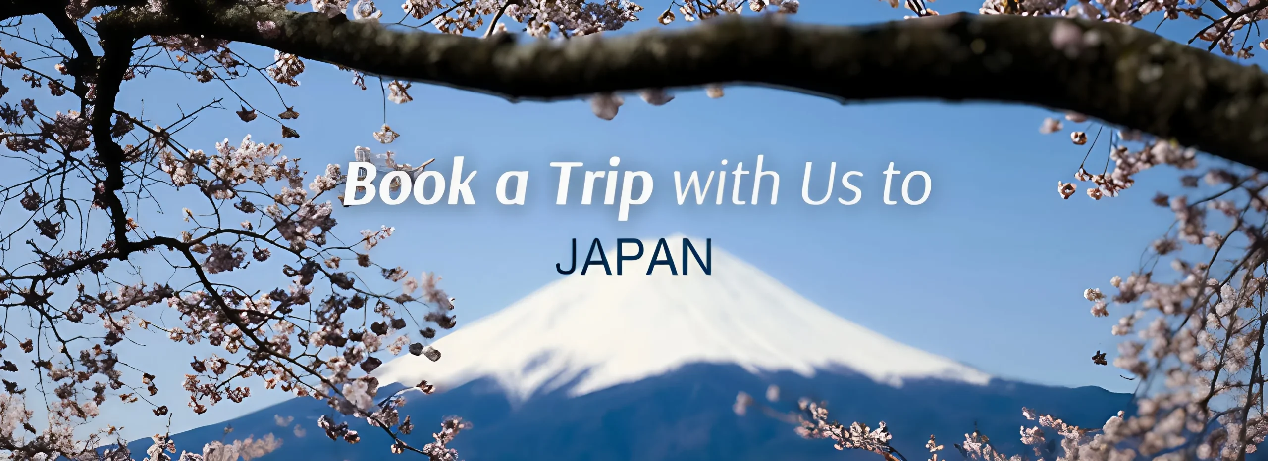 book a